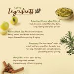 Nat Habit - Fresh Ready To Apply Henna Paste, Pre-Soaked in Black Tea and Herbs,100% Natural Rajasthani Henna, Imparts Rich Brown Shade (Pack of 2 x 220g) - Image 7