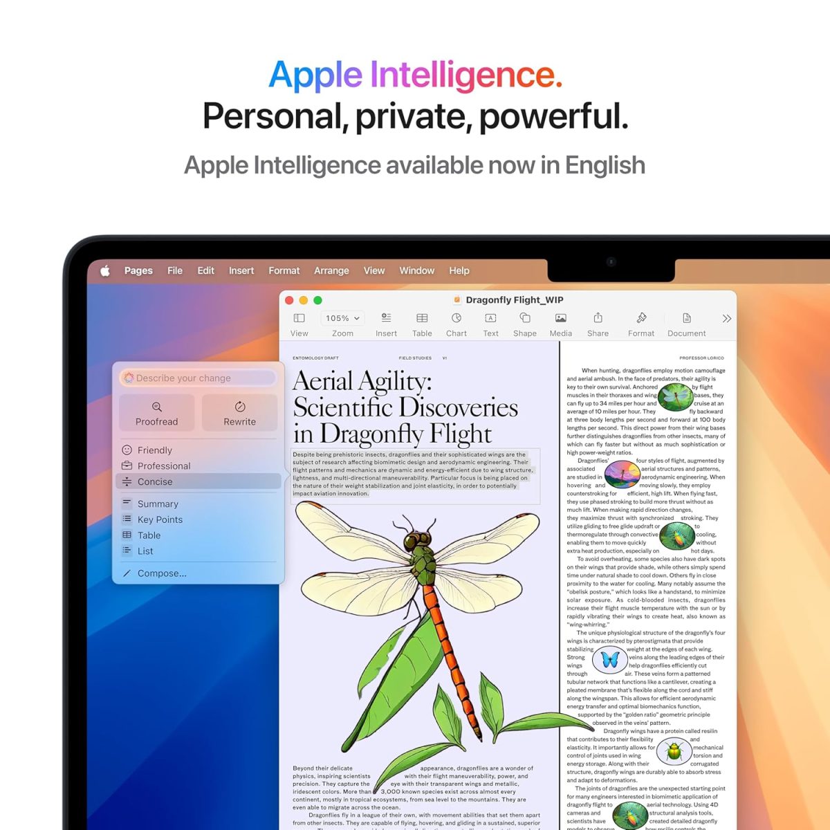 Apple 2025 MacBook Air (13-inch, Apple M4 chip with 10-core CPU and 8-core GPU, 16GB Unified Memory, 256GB) - Midnight - Image 4