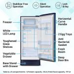 Samsung 215 L, 5 Star, Digital Inverter, Direct-Cool Single Door Refrigerator (RR23D2H359U/HL, Paradise Bloom Blue, Base Stand Drawer) - Image 3