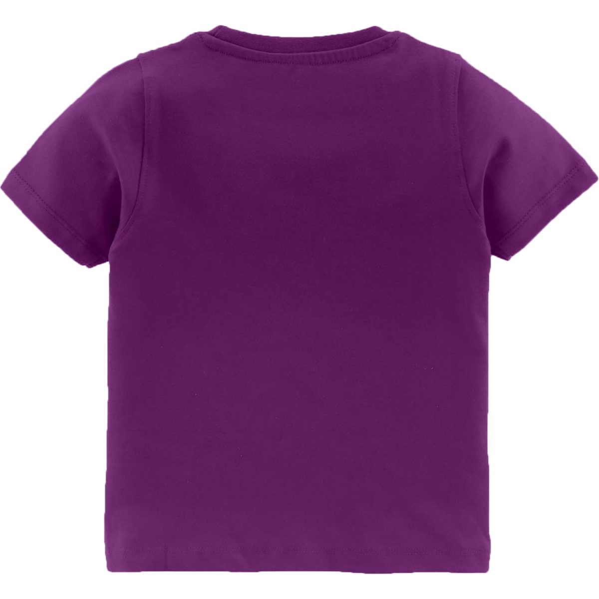 kiddeo Boys Half Sleeve t Shirts (2k18)(02)(Pack of 5) - Image 5