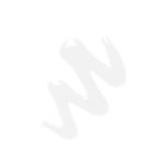 Swiss Beauty Pro Eyelash Glue - White, Eye Makeup, 5Ml - Image 3