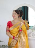 Pandadi Saree Woman's Pure Banarasi Paithani Silk Saree With Brocket Blouse Piece - Image 4