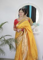 Pandadi Saree Woman's Pure Banarasi Paithani Silk Saree With Brocket Blouse Piece - Image 3