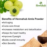 Hennahub Amla, Reetha, Shikakai, Bhringraj and Hibiscus Powder for Hair Growth & Hair Mask, 200g each (Combo Pack of 5) - Image 8