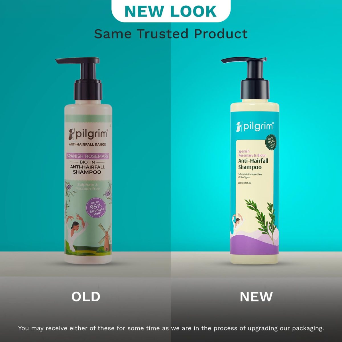 Pilgrim Spanish Rosemary & Biotin Anti Hairfall Shampoo for Reducing Hair Loss & Breakage 200ml | Rosemary shampoo for hair growth | Upto 95% stronger hairs | For all hair types | For Men & Women - Image 2