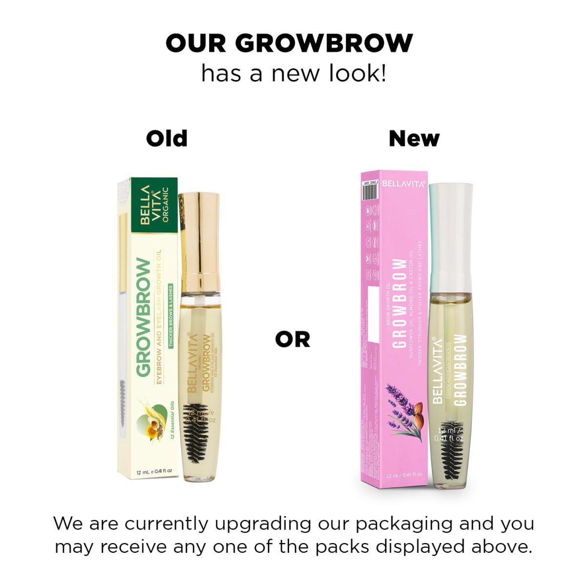 Bella Vita Organic Growbrow - Eyelash, Lashes & Eyebrows Hair Growth & Volume Serum With Castor, Onion Oil & Vitamin E, 12 ML - Image 2