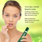 NMFe Moisturising Lip Care 10 Gm | SPF 40+| For Dry And Chapped Lips |Lip balm | Aloe Vera & Vitamin E | Protects lips from dryness & sun damage | Dermatologically Tested - Image 3
