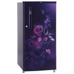 LG 185 L, 4 Star, Smart Inverter, Direct-Cool Single Door Refrigerator (GL-B199OBEY, Blue Euphoria, Smart Connect & Fast Ice Making) - Image 13