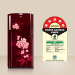 Godrej 180 L 5 Star Turbo Cooling Technology, 24 Days Farm Freshness Direct Cool Single Door Refrigerator (RD EDGENEO 207E THF MP WN, Maple Wine) - Image 3