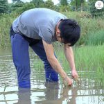 VIPFARMER Farmer Safety Shoes |Paddy Shoes|Rain Boots |Agriculture Shoes - Image 2