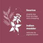 Truth Be Told Hydrastick All Plant Naturally Derived Lipstick - She Dreams | Infused with Herb-Infused Sesame Oil & 9 Botanicals | Hydrating, Long-Lasting & Pigment-Restoring | Bold Color with Intense Care - Image 5