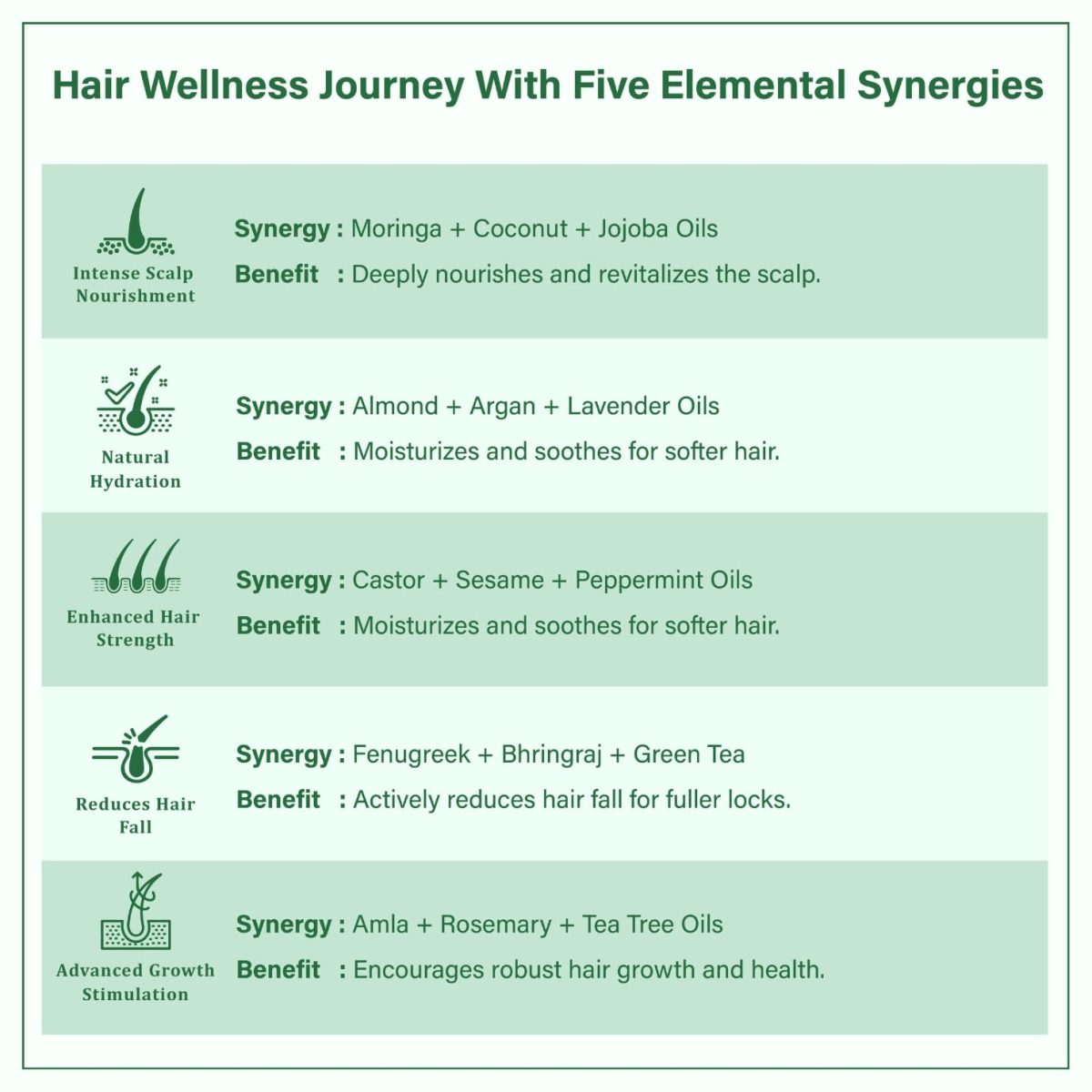Singular Ever Guard Hair Oil for Men & Women | Hair Growth & Hair Fall Control | Cold-Pressed Blend of Argan, Almond, Bhringraj, Rosemary Oil & Vitamin E - 100 ml - Image 3