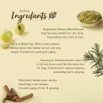 Nat Habit - Fresh Ready To Apply Henna Paste, Pre-Soaked in Black Tea and Herbs,100% Natural Rajasthani Henna, Imparts Rich Brown Shade (Pack of 3 x 220g) - Image 7