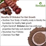 Hennahub Amla, Reetha, Shikakai, Bhringraj and Hibiscus Powder for Hair Growth & Hair Mask, 200g each (Combo Pack of 5) - Image 9