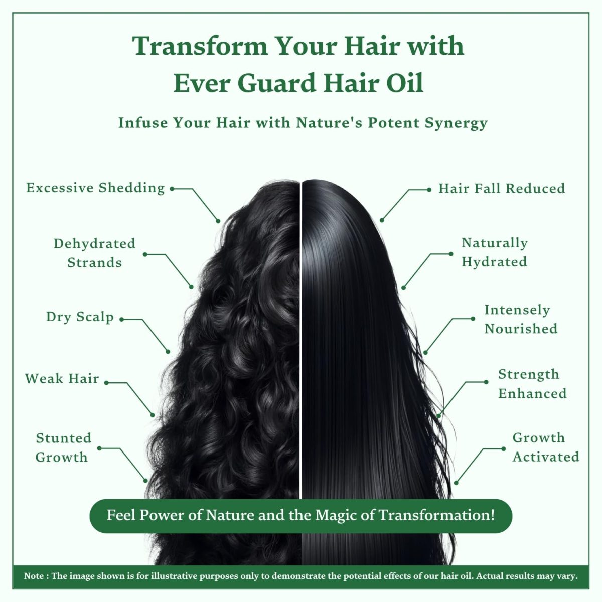 Singular Ever Guard Hair Oil for Men & Women | Hair Growth & Hair Fall Control | Cold-Pressed Blend of Argan, Almond, Bhringraj, Rosemary Oil & Vitamin E - 100 ml - Image 6