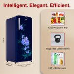Godrej 180 L 4 Star Turbo Cooling Technology, 24 Days Farm Freshness Direct Cool Single Door Refrigerator (RD EDGENEO 207D THF MP BL, Maple Blue) - Image 4