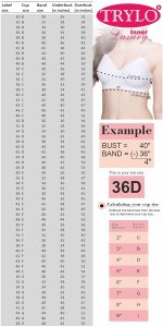 TRYLO KPL Women's Cotton Non-Padded Bra Black/Black Currant/Butter SCOT/Coral/MARUN/Rasberry/Rose Gold/Nude/Sapphire/Skin/White 30 to 40 Available Cups C to I - Image 4