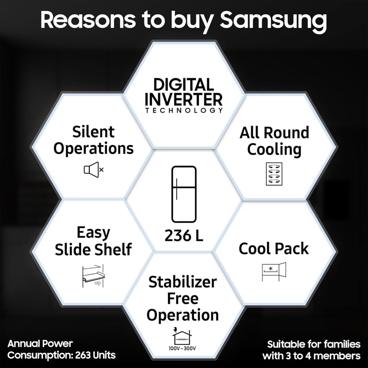 Samsung 236 L, 2 Star, Digital Inverter, Frost Free Double Door Refrigerator (RT28C3032GS/HL, Gray Silver) - Image 2