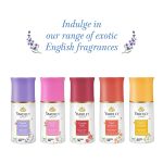 Yardley London English Lavender Anti Perspirant Deodorant Roll On For Women, Floral, 50ml - Image 6