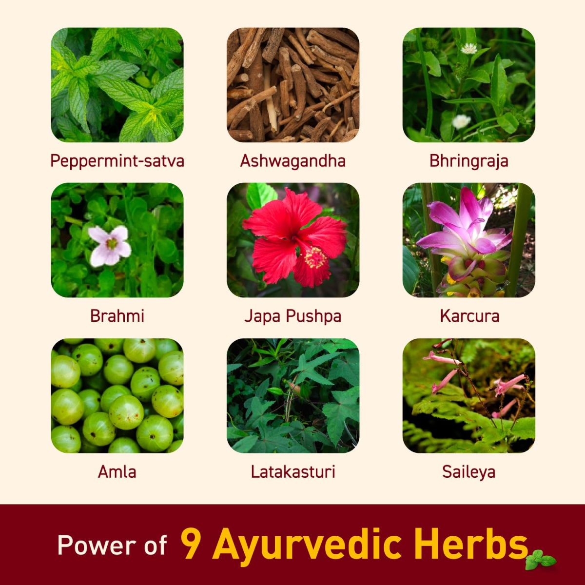 Navratna Ayurvedic Cool Oil | Combination of 9 Ayurvedic Herbs | Relieves Headache, Body ache, Tiredness, Sleeplessness & Tension| Improves Scalp Health | Relaxing & Rejuvenating cooling effect, 500ml - Image 4