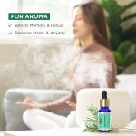 Rey Naturals Pure Rosemary Essential Oil For Hair Growth, Hairfall Control, Dandruff & Skin | Non Greasy Rosemary Oil for Skin, Body and Shiny Soft Hair | Hair Oil For Women & Men - 15ml - Image 6