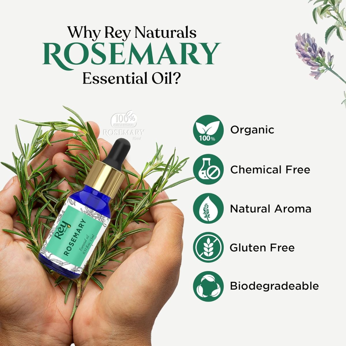Rey Naturals Pure Rosemary Essential Oil For Hair Growth, Hairfall Control, Dandruff & Skin | Non Greasy Rosemary Oil for Skin, Body and Shiny Soft Hair | Hair Oil For Women & Men - 15ml - Image 2