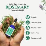 Rey Naturals Pure Rosemary Essential Oil For Hair Growth, Hairfall Control, Dandruff & Skin | Non Greasy Rosemary Oil for Skin, Body and Shiny Soft Hair | Hair Oil For Women & Men - 15ml - Image 2