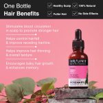 Soulflower Rosemary Essential Oil for Hair Growth, Hair Fall Control and Nourishment, Skin Care | Clinically Tested & Ecocert Certified Organic 100% Pure, Natural, Undiluted | 15ml - Image 4