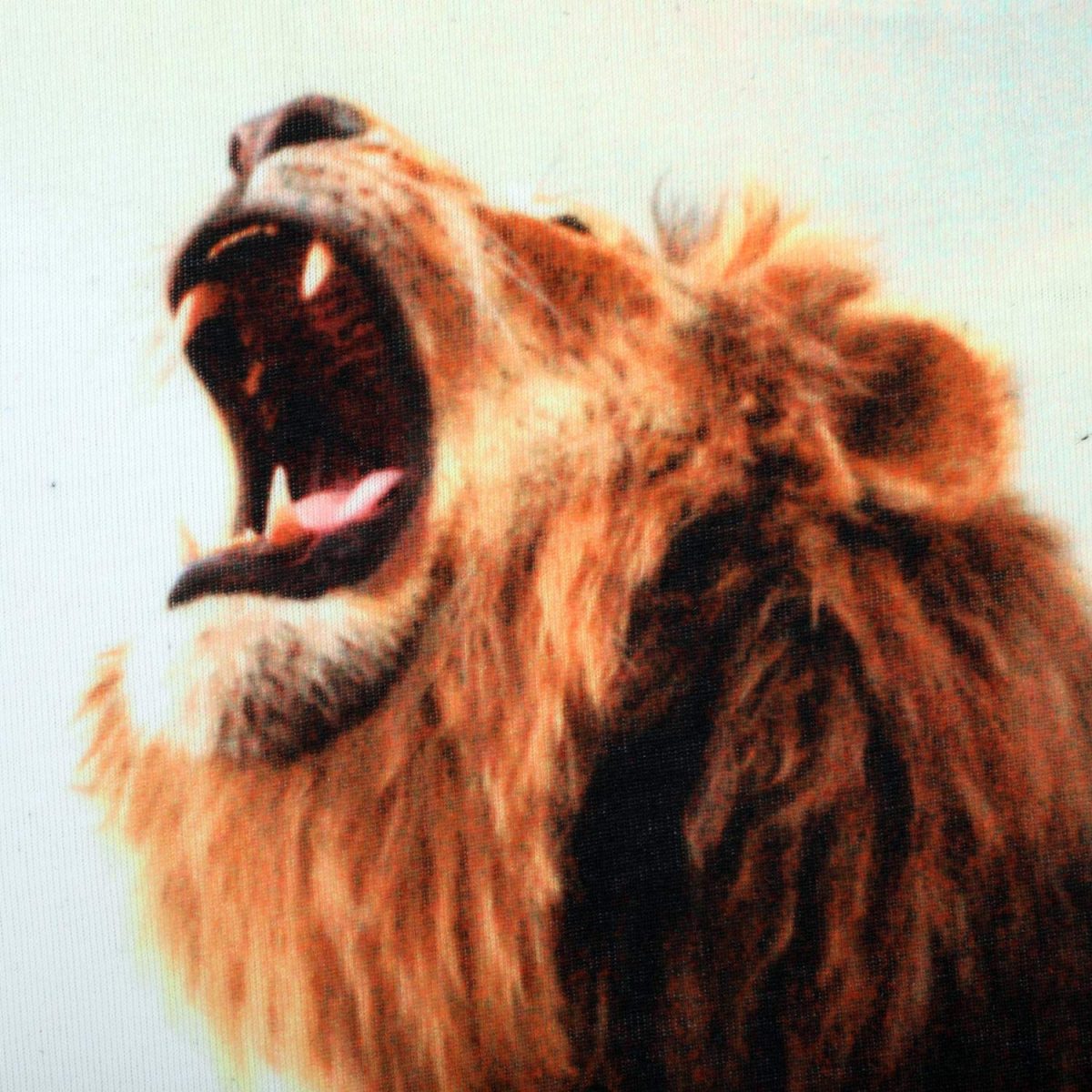 Lion King Boy's Regular Fit T-Shirt - Image 3