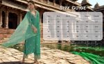 SHIENZY Women's Embroidered Chanderi Kurta Pant Set With Net Dupatta | V Neck, 3/4 Sleeve Ethnic Set | Outfit for Office & Festive Wear (1657 Kurta Set) - Image 3