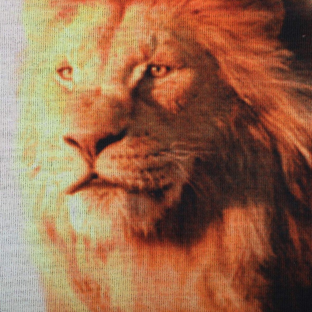 Lion King Boy's Regular Fit T-Shirt - Image 3