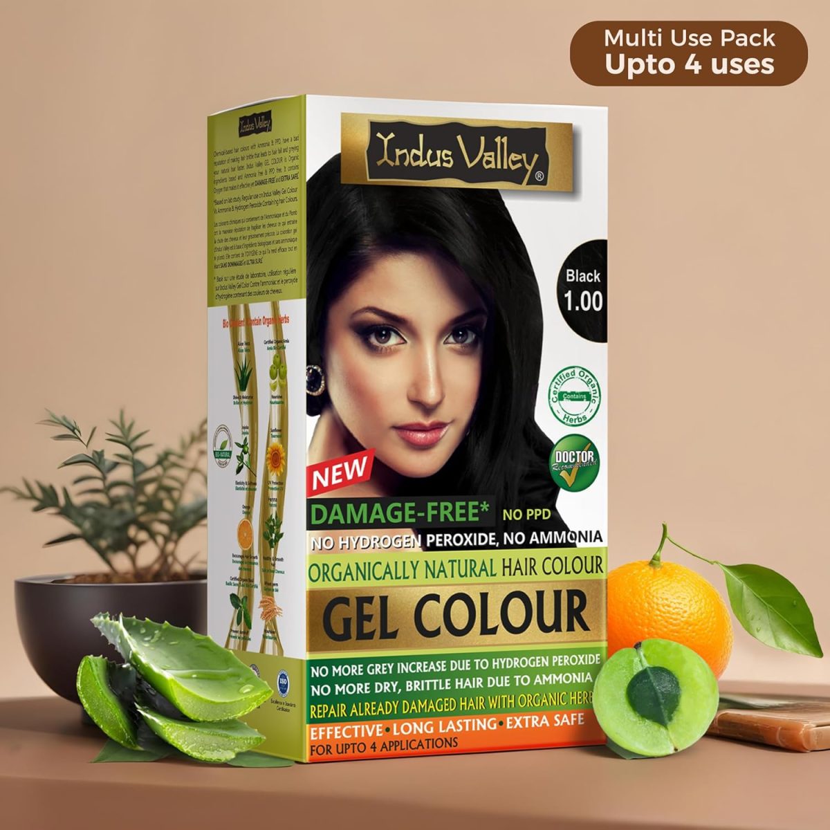 INDUS VALLEY Damage Free Natural Gel Hair Colour for Women | Ammonia & PPD Free Organic Hair Colour with 100% Grey Coverage, Long Lasting Conditioning Hair Color | Black 1.00-220 ml - Image 2