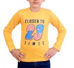 Malvina Boy's Full Sleeve Cotton Tshirts for Kids (Pack of 6) (Multicolor,8-9 Years) - Image 5