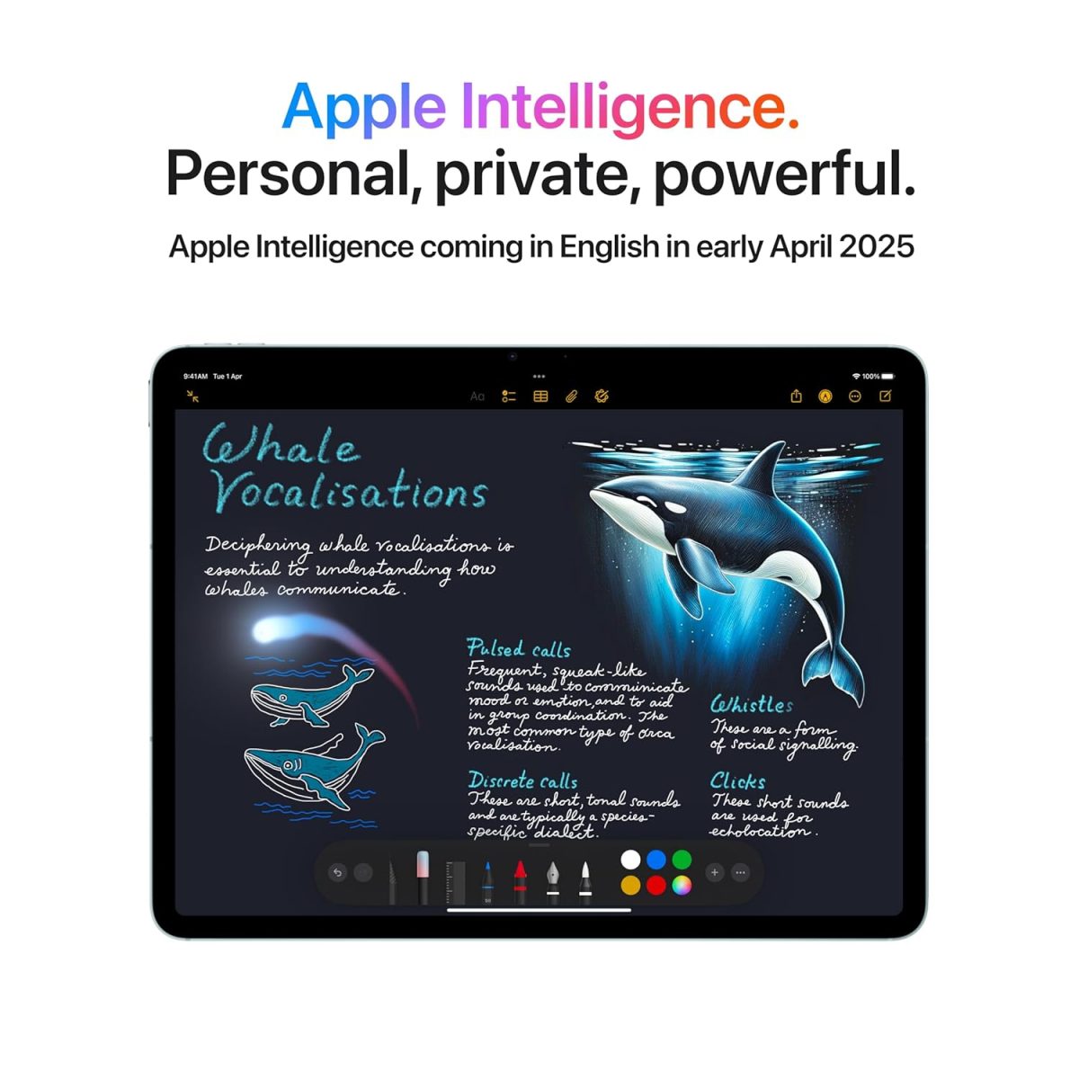 Apple iPad Air 13″ with M3 chip: Built for Apple Intelligence, Liquid Retina Display, 512GB, 12MP Front/Back Camera, Wi-Fi 6E + 5G Cellular, Touch ID, All-Day Battery Life — Space Gray - Image 3