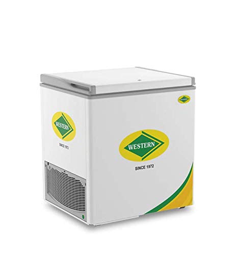 Western Deep Freezer NWHD225H