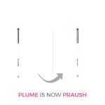 PRAUSH P08 - Plume Small Eyeshadow Blending Brush - Image 2