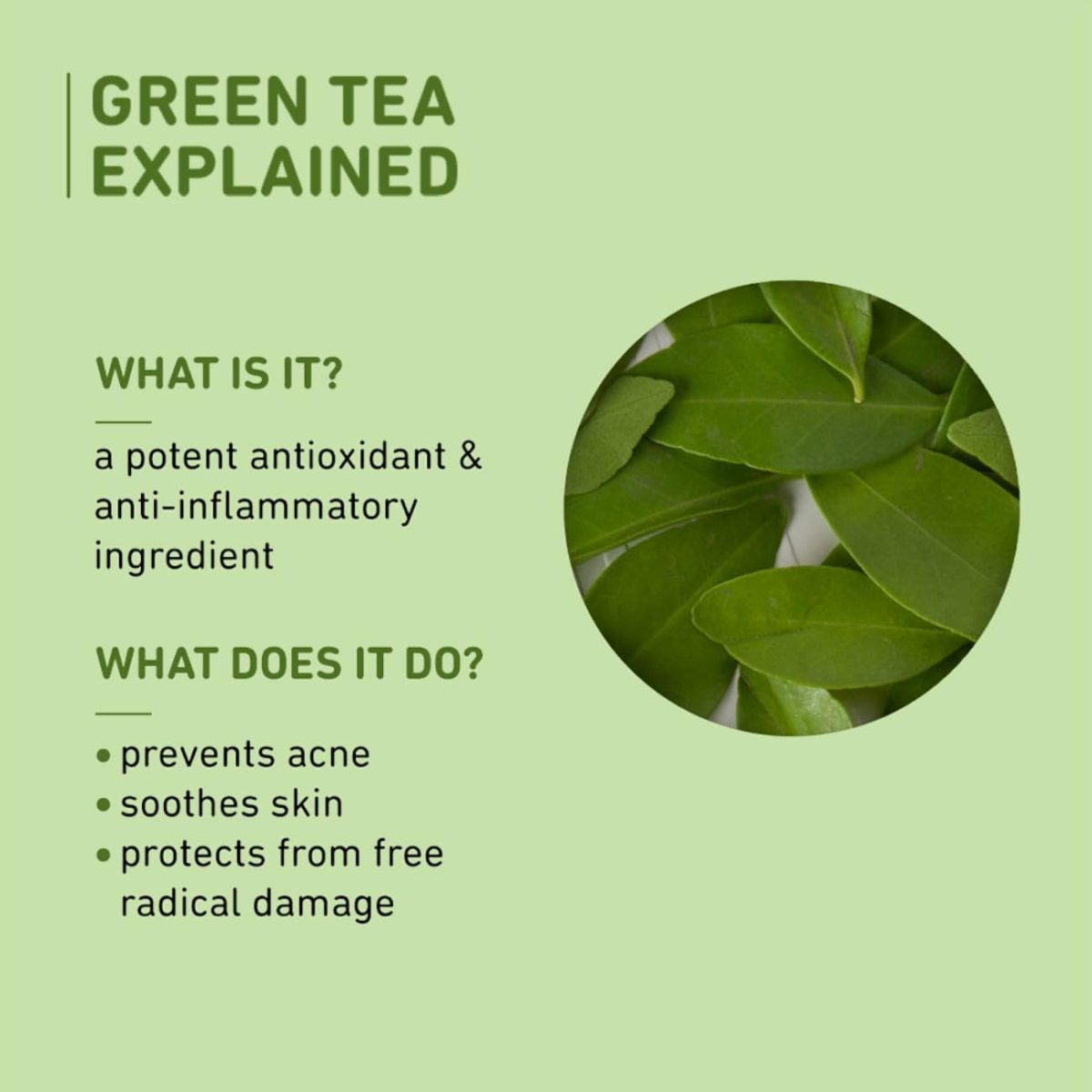Plum Green Tea Oil-Free Face Moisturizer | With Niacinamide & Hyaluronic Acid | Fights Pimples & Hydrates | Fades Blemishes & Brightens Skin | Non-Sticky & Long-Lasting Moisturizer for Face | 50ml - Image 8
