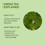 Plum Green Tea Oil-Free Face Moisturizer | With Niacinamide & Hyaluronic Acid | Fights Pimples & Hydrates | Fades Blemishes & Brightens Skin | Non-Sticky & Long-Lasting Moisturizer for Face | 50ml - Image 8