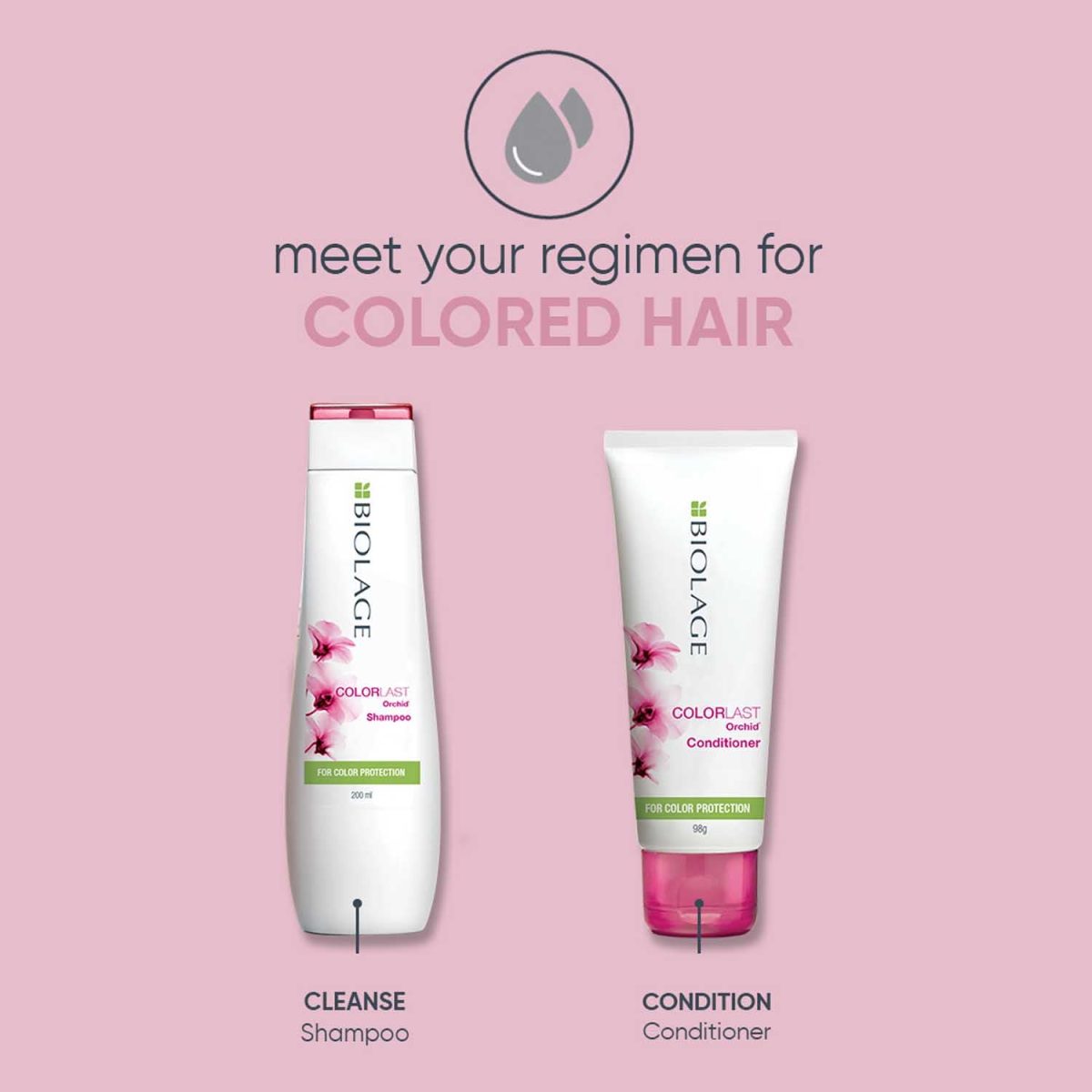 Biolage Professional Colorlast Shampoo, Protects Colored Hair & Maintains Vibrancy, Depth & Tone upto 9 Weeks, Anti-fade properties, Enriched with Orchids, Vegan & Cruelty-Free, 200ml - Image 4