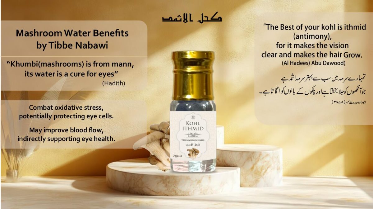 AL MASNOON Kohl Ithmid Surma with Mushroom Water - 5g | Formulated by Tibbe Nabawi | Traditional Herbal Eyeliner | Pack of 1 - Image 2