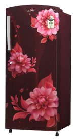 Lloyd 225 L 2 Star Direct Cool Single Door Refrigerator (GLDC242SBWT2PB, Begonia Wine) - Image 6