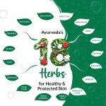 Medimix Ayurvedic Classic 18 Herbs Soap, 125 g (Pack of 8) - Image 5