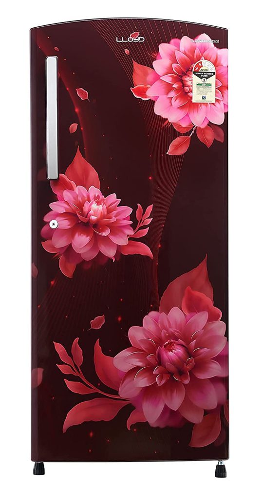 Lloyd 225 L 2 Star Direct Cool Single Door Refrigerator (GLDC242SBWT2PB, Begonia Wine)