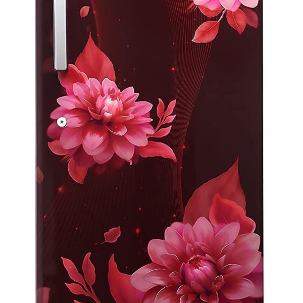Lloyd 225 L 2 Star Direct Cool Single Door Refrigerator (GLDC242SBWT2PB, Begonia Wine)