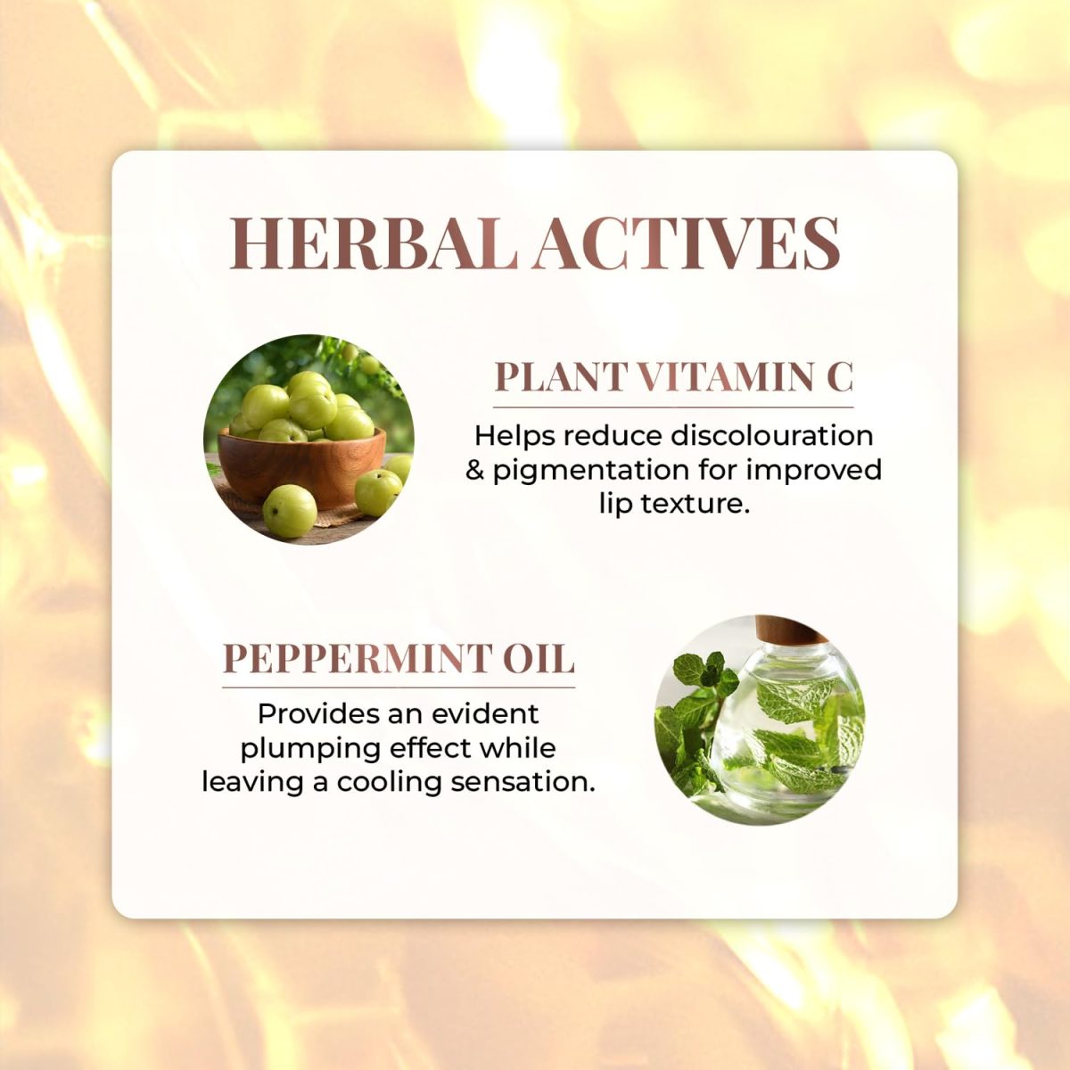 Just Herbs Lip Honey Plumping Gloss with Plant Vitamin C & Peppermint Oil (Honey Dew, 4 ml) - Image 11