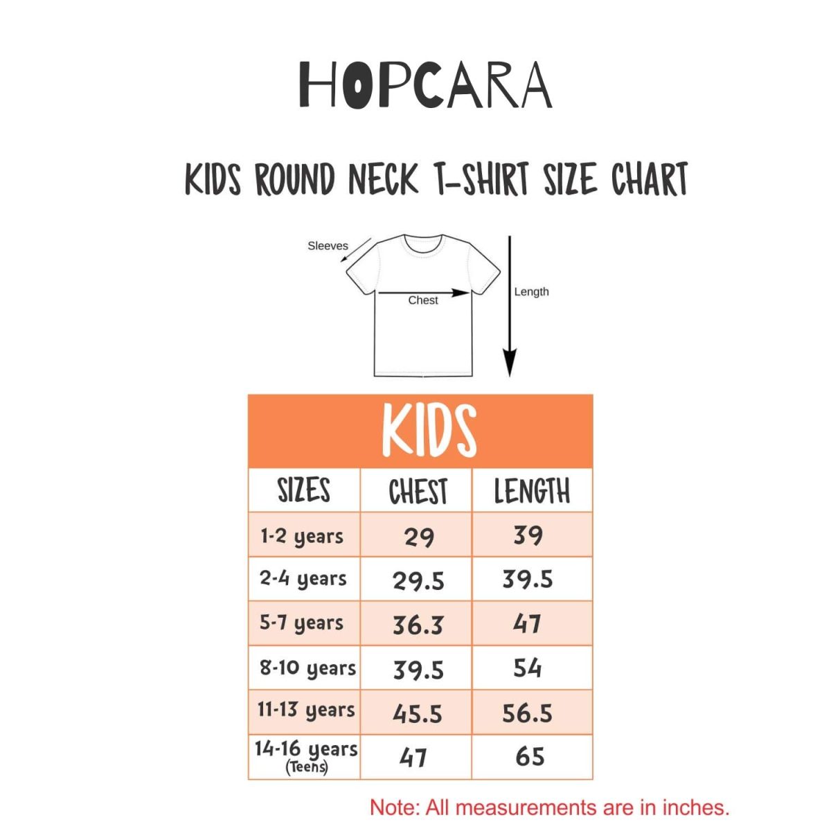 Hopcara® Boys Kids Cotton Printed T-Shirt |Veera | Soft & Durable | Round Neck | Half Sleeves | Casual Wear for Boys - Image 3