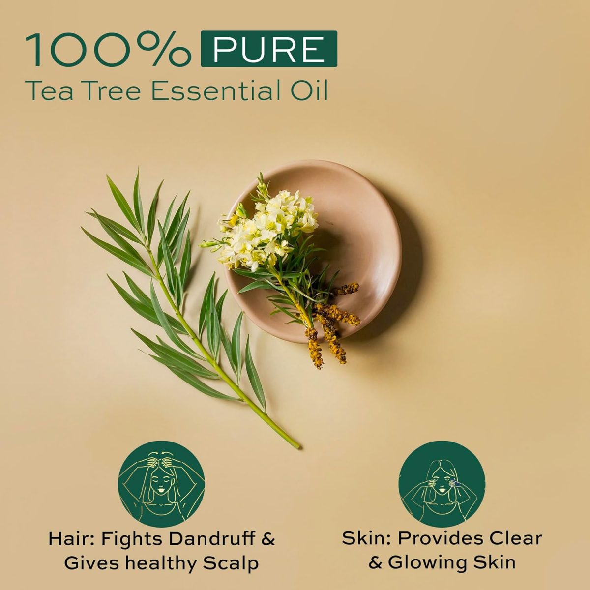 Parachute Advansed Tea Tree Essential Oil | 100% Pure| for Dandruff Control & Glowing Skin | Moisturises dry hair, Controls Dandruff, for Healthy & Clear looking Skin | 14ml - Image 2