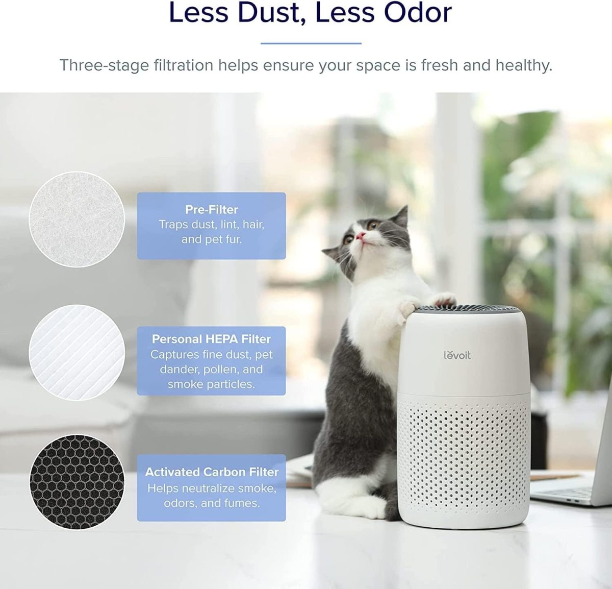 LEVOIT Core Mini Air Purifier For Coverage Area 183 Sq Ft, H13 Truehepa Filter, Remove 99.97% Dust, Smoke, & Pollen, With Fragrance Sponge, (2 Years Warranty), White - Image 5
