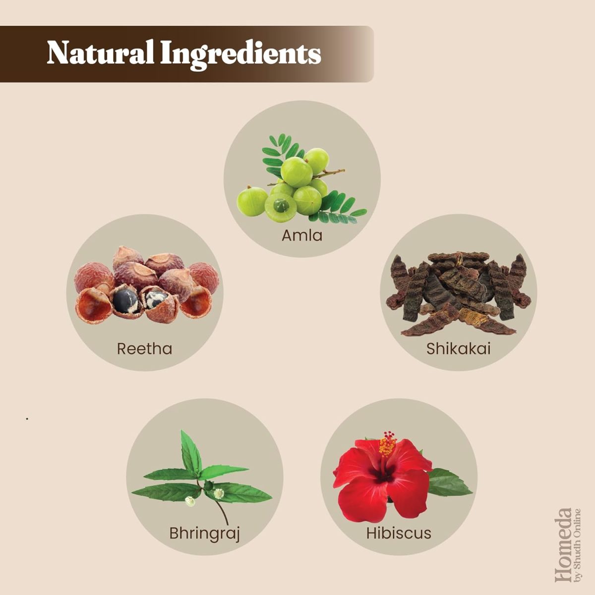 Shudh Online Amla, Reetha, Bhringraj, Shikakai & Hibiscus Powder combo for hair growth (50 grams each) - Image 3