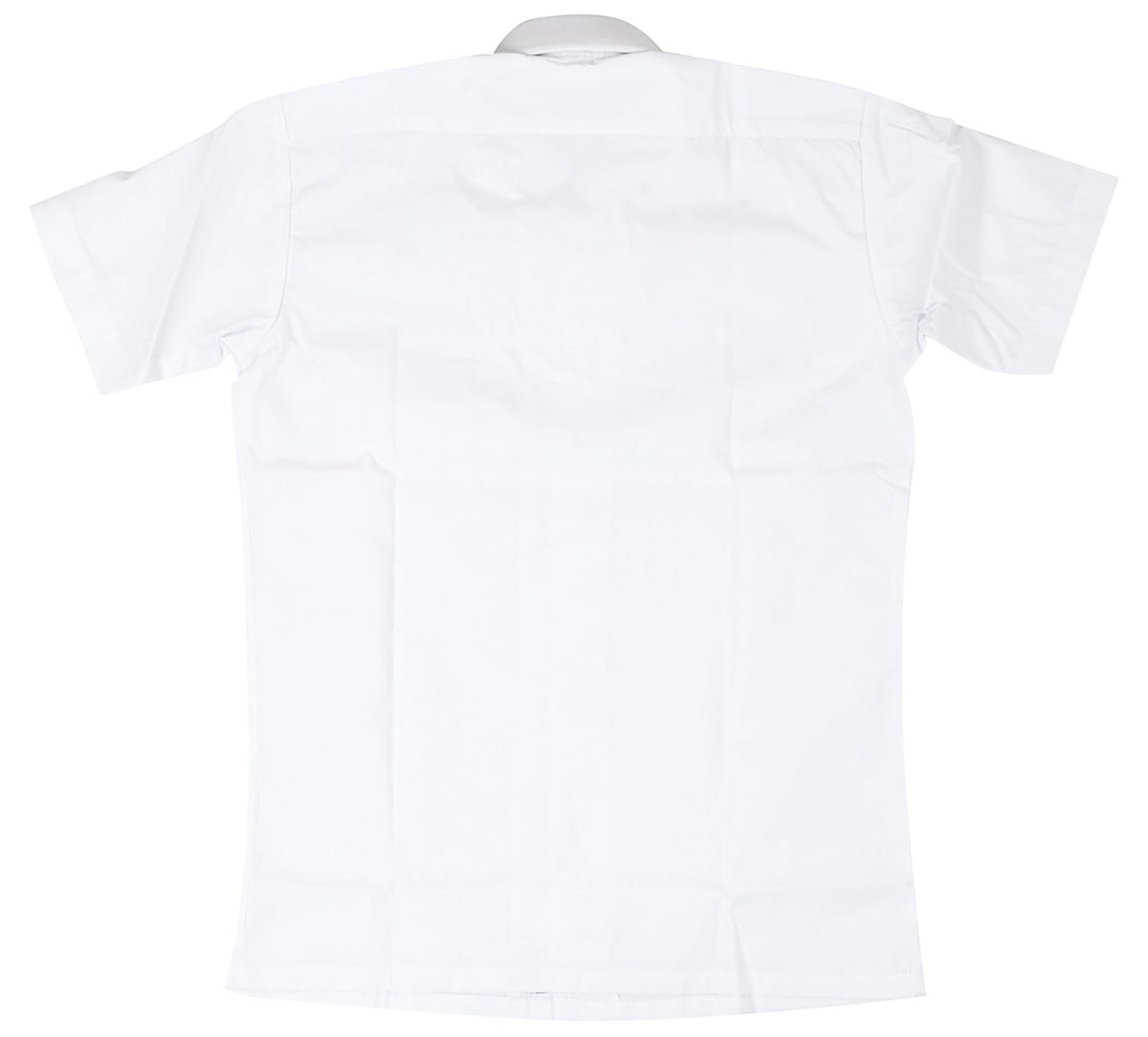 Ideal Unisex Regular Fit Shirt - Image 2